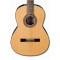 قیمت خرید فروش گیتار کلاسیک  Ibanez G100 NT